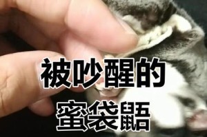 正确处理被蜜袋鼯咬出血的方法及蜜袋鼯不咬人的训练技巧（保护自己与培养友善宠物的关键技巧）