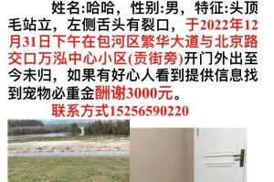 给金毛取名的艺术之道（探索如何为你的金毛选取一个合适的名字）