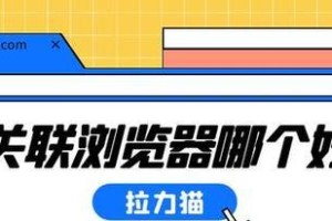 以猫咪网址是什么为主题的文章（探寻猫咪世界的无限可能）
