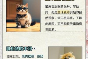 小猫睁眼之后需要多久才能看到世界的奇观（小猫眼睛睁开后的奇妙探索之旅）