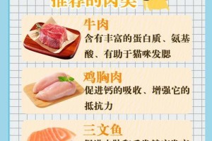 7种廉价又健康的蔬菜，让你的猫咪保持身体健康（廉价又好吃的蔬菜，为你的猫咪带来更好的健康）