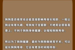 15种常见宠物狗“寿命榜”（如何延长你的宠物狗寿命？）