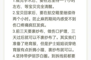 母猫生产后多久喂一次合适？（了解喂养新生猫崽的正确时间间隔）