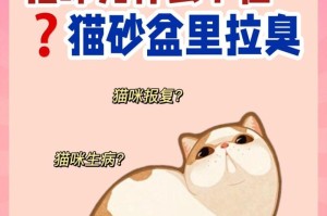 猫咪不会在盆里上厕所？如何解决这个问题（探究猫咪不在猫盆里拉尿的原因及有效解决方法）