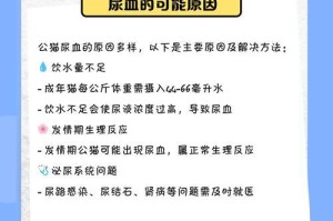公猫泌尿系统康复时间及关键因素（了解公猫泌尿系统康复需要关注的关键因素及时间表）