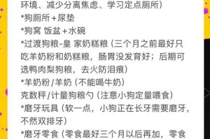 《如何科学喂养新买的比熊幼犬》（关注幼犬的健康成长）