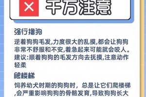 小狗多久可以外出散步？（了解小狗溜达的时间安排和注意事项）