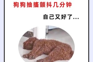 狗狗癫痫发作的应急处理方法（了解狗狗癫痫发作的迹象与应对方法）
