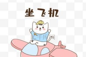 小猫飞机的制作方法与所需材料（用小猫做飞机，只需准备以下材料和跟随简单步骤即可）