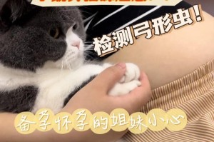猫咪怀孕的周期及照顾技巧（了解猫咪的怀孕周期，为母猫提供适当的照顾）