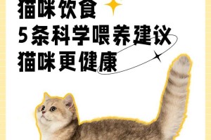 科学喂养猫咪，合理控制餐次（每日几餐最健康？了解正确喂养方法，关注猫咪健康与幸福）