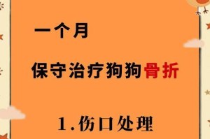 狗狗骨裂（了解狗狗骨裂的修复方法和选择）