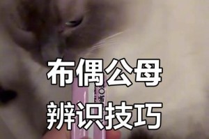 揭秘猫咪洗脸的四大因素（猫咪洁面行为的秘密及其影响因素）