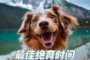 狗狗绝育后多久不流血？（了解绝育术后的恢复期及防护要点）