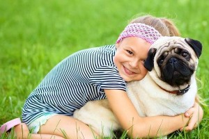 选择巴哥犬作为新手的宠物之道（了解巴哥犬的优点与适应性，帮助新手成为满意的宠物主人）