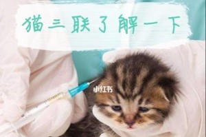 探索以猫三联的功能和应用（揭开以猫三联背后的秘密，助你更好地使用）