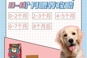 新生拉布拉多吃奶的时间和方法（了解新生拉布拉多喂养的关键时刻）
