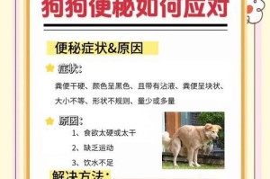 狗狗便秘的症状及解决方法（探究狗狗便秘引起的症状和有效解决方法）