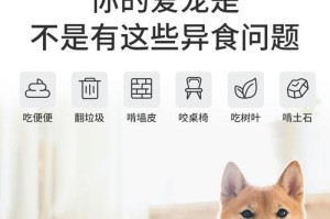 狗狗微量元素补充品哪个牌子好？（挑选适合狗狗的微量元素补充品有何要点？）