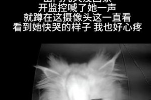 如何让猫不那么闹？（探索猫咪的睡眠习惯及环境调整）