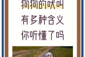 狗狗的叫声（了解狗狗叫声的真正意义，与你的宠物建立更深刻的沟通）