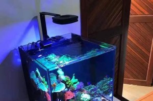水族论坛（分享经验、交流知识，水族爱好者的聚集地）
