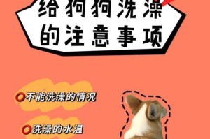 狗狗三针疫苗接种后多久可以洗澡？（洗澡前要知道的注意事项和适当的时机）