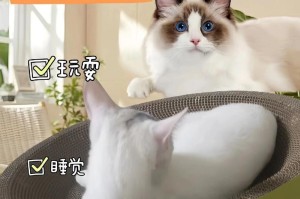 猫咪磨爪的原因与方法（保护家具和促进爪部健康的关键技巧）