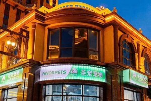 开宠物店的注意事项（经营宠物店需谨记的重要要点）