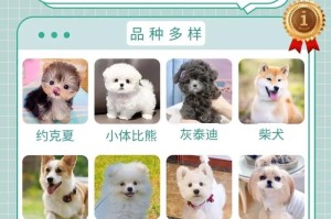 狗的繁殖周期及其影响因素（从配种到产仔，了解狗的生殖特点和繁殖时间）