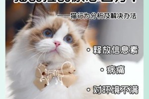 猫尿味散去需要多长时间？（探究猫尿味消除的时间与方法）
