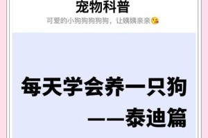泰迪狗疫苗接种后适合洗澡的时间及注意事项（疫苗接种后的泰迪狗，何时洗澡是最安全的？）