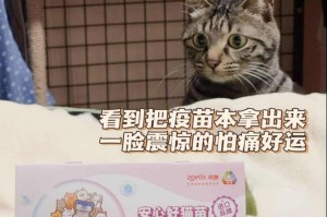猫疫苗的作用时间有多久？（揭秘猫疫苗的保护期限，帮助宠物主人更好地保护爱猫健康）
