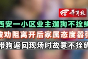 遛狗不拴绳，罚款才20？全国都跟上了！（保护环境，文明养犬，关注动物福利，加强法律力度）