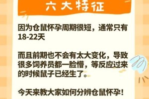 仓鼠的怀孕周期及繁殖特性解析（仓鼠怀孕周期的关键因素及繁殖习性揭秘）