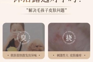贵宾洗澡的最佳时间和频率（合理安排洗澡时间，让你的贵宾更健康）