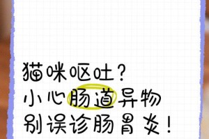 猫呕吐的常见检查方法与注意事项（了解猫呕吐的原因及正确的诊断方式，让我们的猫咪更健康）