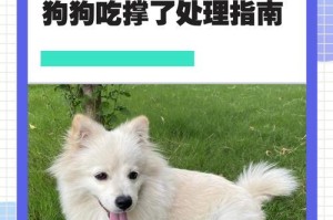 狗不吃饭可以撑多久？（探索狗狗饮食的奥秘，以及影响狗狗健康的因素）