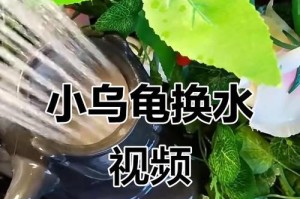 以巴西龟不见水多久会对其健康产生影响？（揭秘巴西龟离水生存的真相）