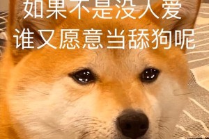 为什么狗狗老爱舔人？（解密狗狗舔人的原因以及如何正确应对）