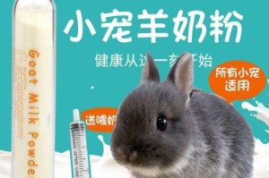 兔子要生了，准备工作不能少（全面准备，为兔子的到来做好一切准备）