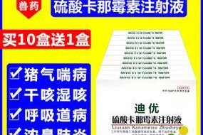狗狗咳嗽打针后的治疗方案（选择适合的药物是关键）