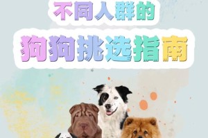 如何挑选一只健康的狗狗？（适合新手的选择指南）