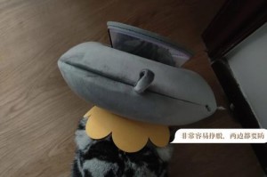 如何正确佩戴和取下伊丽莎白圈？（了解正确佩戴时间，保护你的牙齿健康）