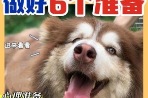 如何选择适合中大型犬的理想宠物食品（为你的中大型犬提供均衡营养的关键是什么？）
