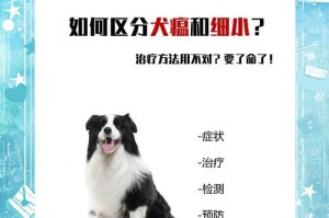 狗狗感染细小后症状的时间及表现（细小感染的潜伏期、临床症状以及处理方法）