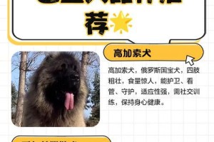 巨型犬大盘点（探索世界上最大的犬种，一起认识这些宏伟的狗狗吧！）