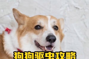狗身上的常见虫类（探索狗身上常见的寄生虫及防治方法）