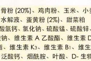 小狗泰迪的理想狗粮选择（提供营养和美味，适合泰迪成长的狗粮推荐）