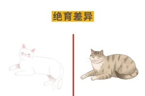 100条养猫冷知识揭秘（探寻猫咪世界的神秘角落）